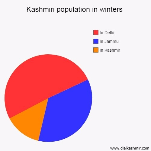 kashmiri in delhi winters funny